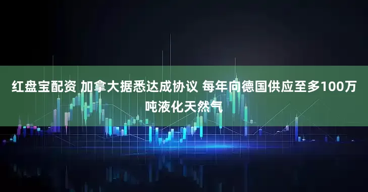 红盘宝配资 加拿大据悉达成协议 每年向德国供应至多100万吨液化天然气